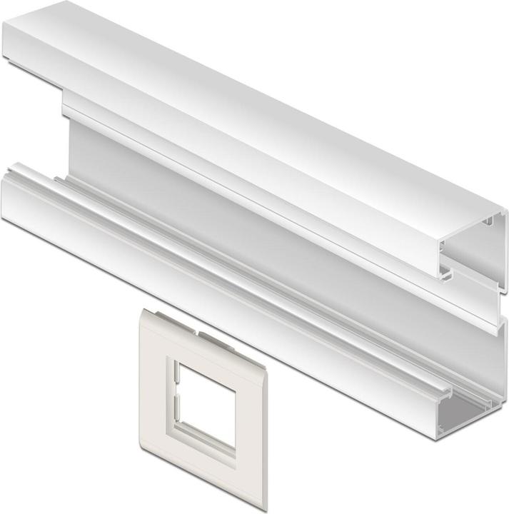 Immagine prodotto Delock Supporto del modulo Easy 45 per l'installazione di dispositivi in canalina 85 x 80 mm