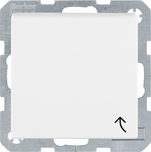 Actual product image Berker SCHUKO socket outlet with hinged cover S.1 IP44 polar white matt