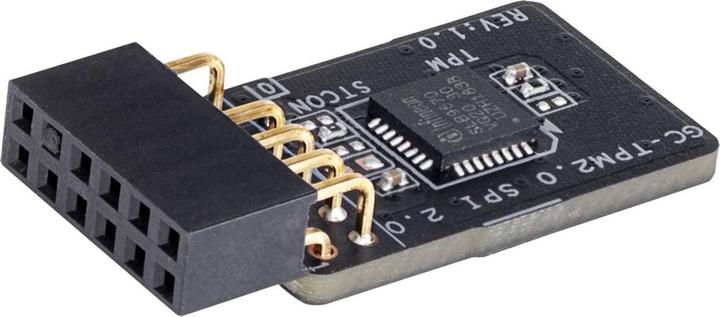 Actual product image Gigabyte GC-TPM 2.0 SPI V2