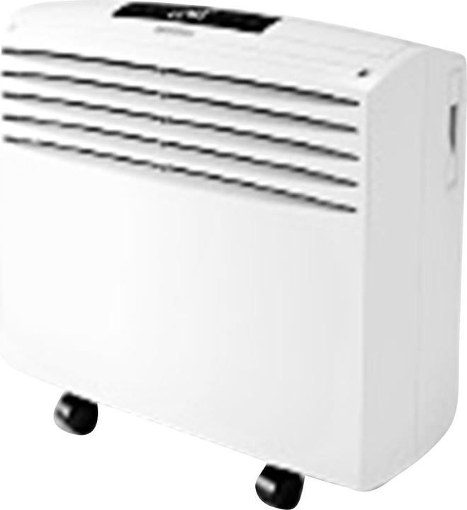 Immagine prodotto Olimpia Splendid Dolceclima Easy 10 P (8189.14 BTU/h)