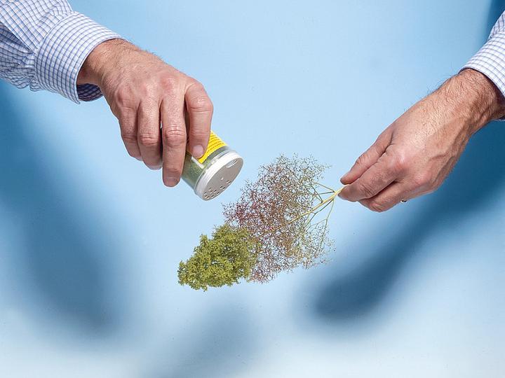 Image du produit Noch Ébauches d'arbres