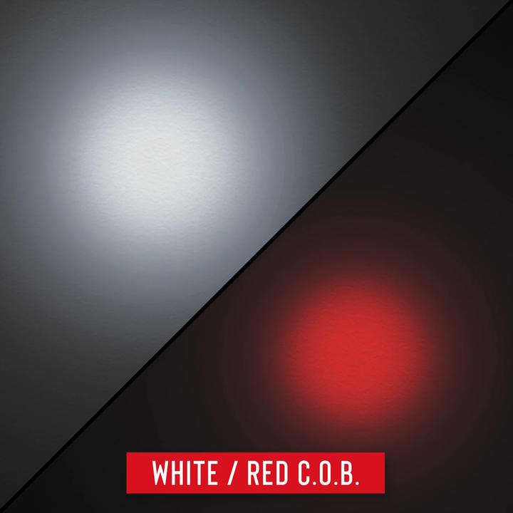 Actual product image Coast G23 (14.40 cm, 120 lm)