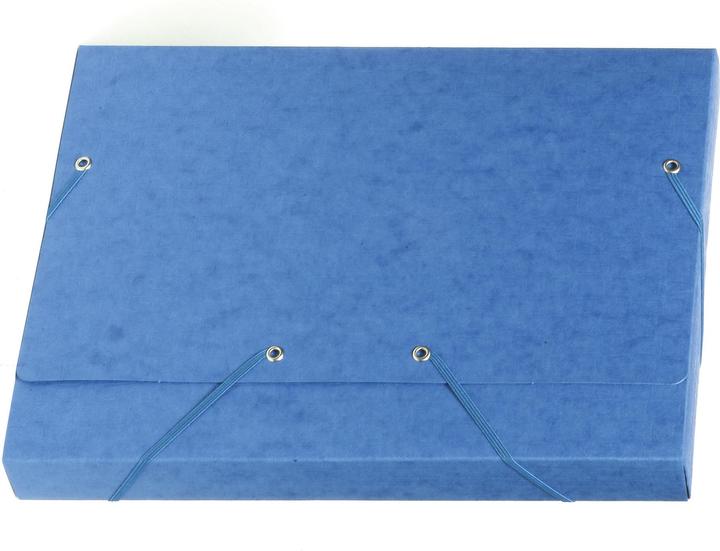 Actual product image Exacompta Folder (A4, 1x)