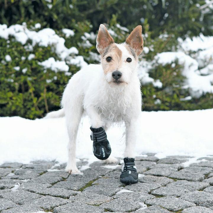 Produktbild Trixie Pfotenschutz Walker Active (M, S, Hundeschuhe)