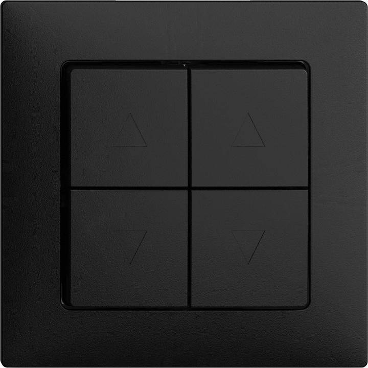 Black RAL number (similar): 9005