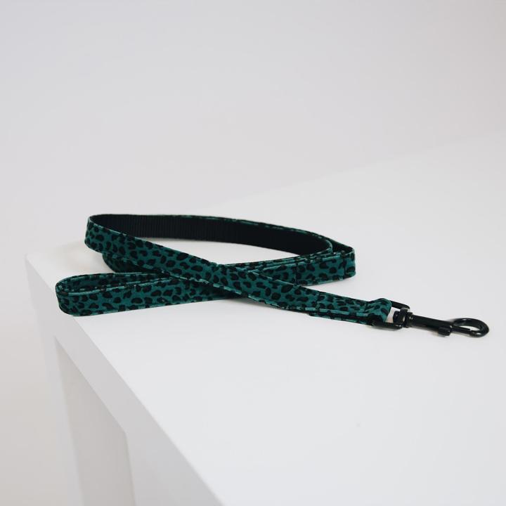 Produktbild Kentucky Dogwear Hundeleine Leopard