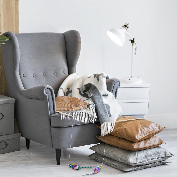 Actual product image Relaxdays 5x cat fishing rod