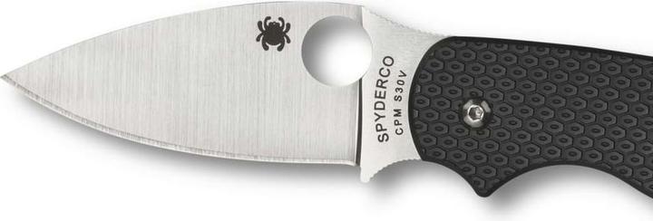Produktbild Spyderco Sage 5 FRN (7.60 cm)