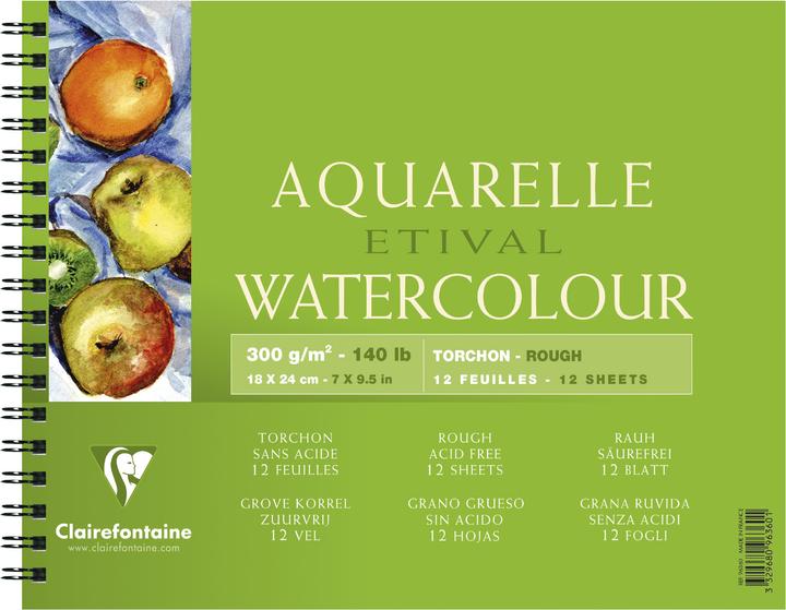 Image du produit Clairefontaine Techniques humides (300 g/m², 1 x)