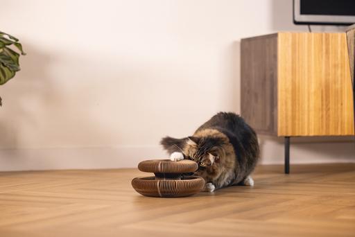 Actual product image Beeztees Hide (10 cm, Rose)