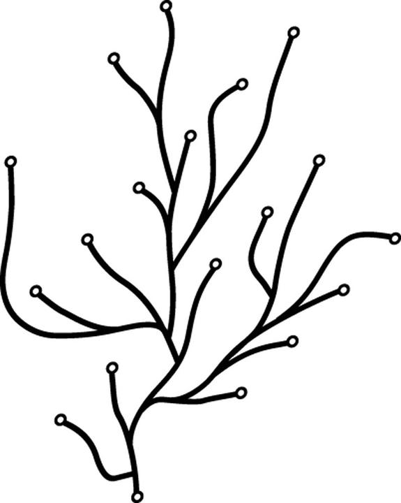 Produktbild Vitra Algue