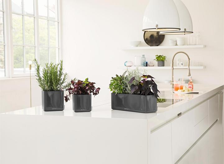 Actual product image Lechuza Cube Glossy 14 (14 x 14 x 14 cm)