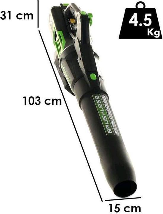 Actual product image Greenworks GD60AB (Rechargeable battery operated, Leaf blower)