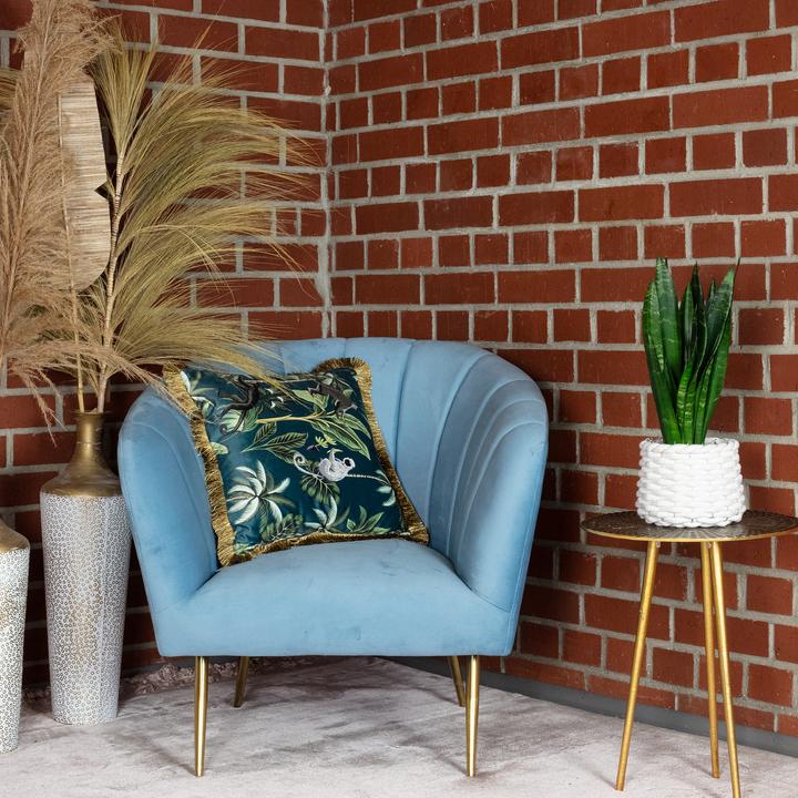 Actual product image Flowerbox Bogenhanf - Sansevieria trif. Black Coral