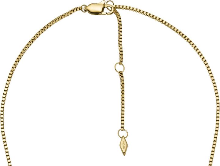 Produktbild Fossil Heritage Halskette (Edelstahl)