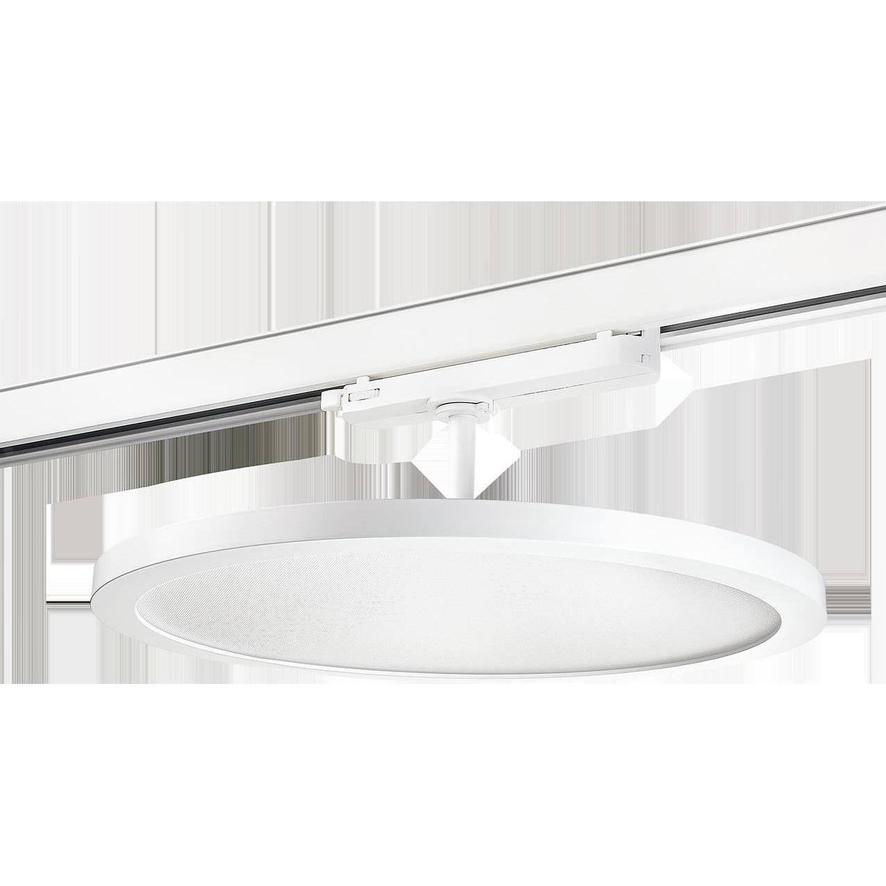 Sg, Wandleuchte + Deckenleuchte, LED-Stromschienenstrahler LB22