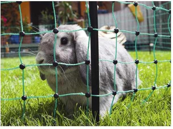 Actual product image AKO Electric fence rabbit net