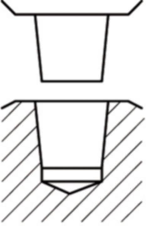 Immagine prodotto Röhm Mandrino del trapano ad azione rapida