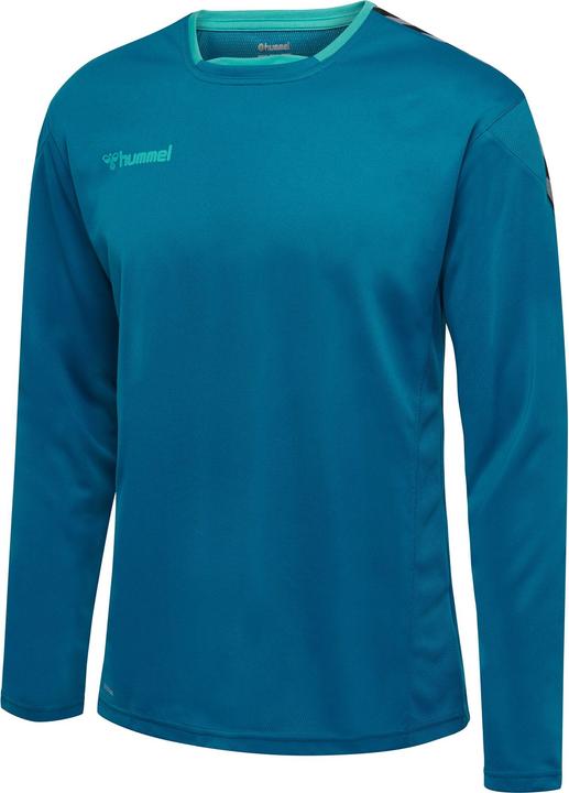 Image du produit hummel Authentic Poly Jersey L/S (S)