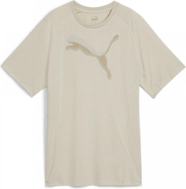 Produktbild Puma EVOSTRIPE Tee (L)