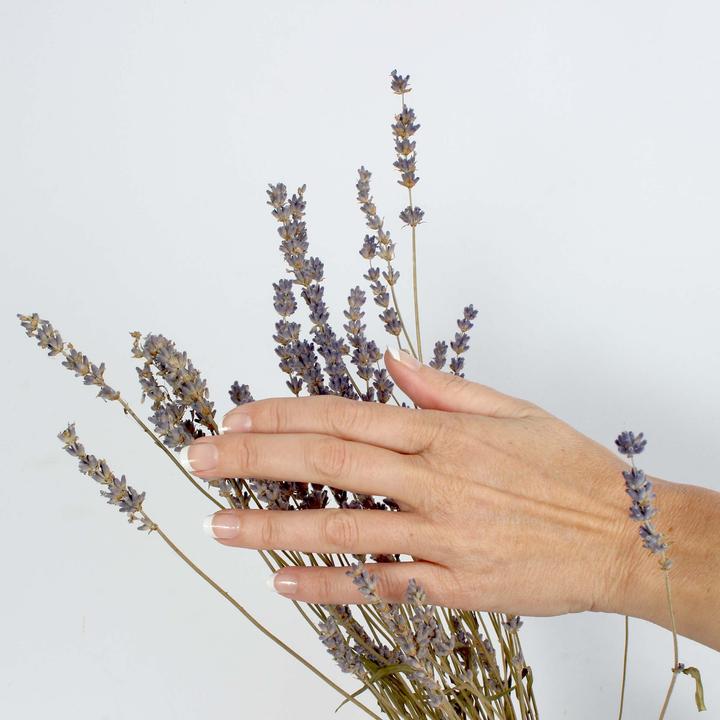 Actual product image Vargu graphics (Artificial nails, graphics)