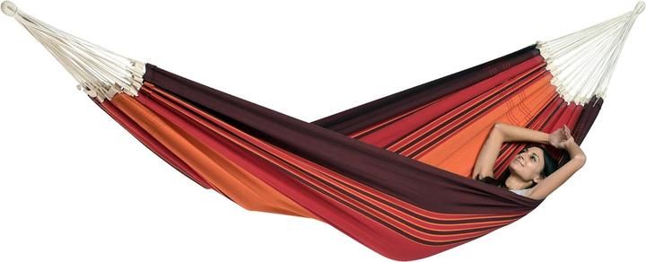 Actual product image Amazonas paradiso (200 kg)