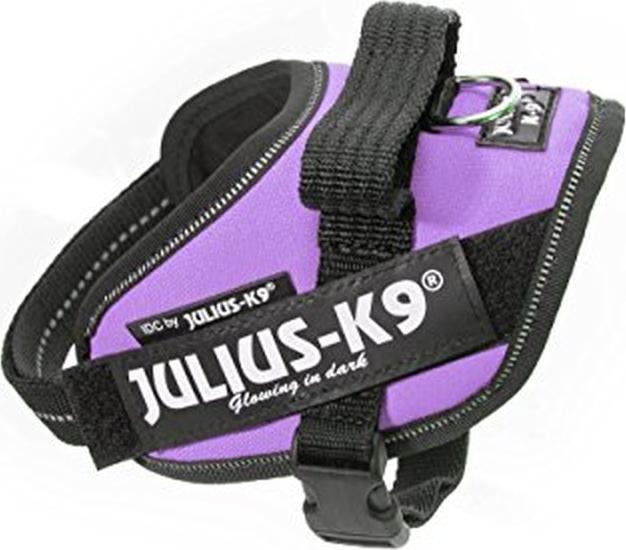 Image du produit Julius-K9 IDC Harnais de puissance Violet (0, Chien, Promenade)