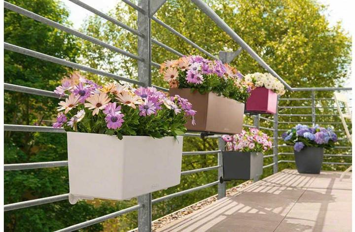 Productafbeelding Lechuza Balconera Kleur (50 x 19 x 19 cm)