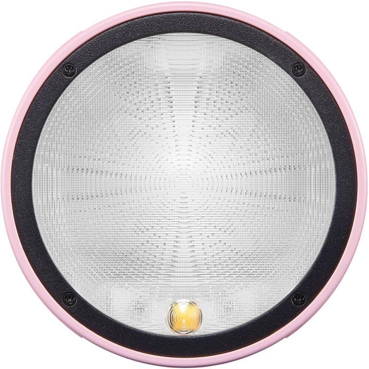 Produktbild Godox Witstro AD100Pro Pink (Godox)