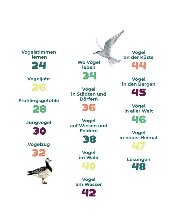 Produktbild Birding - Entdecke die Wunderwelt der Vgel (Deutsch, Silke Hartmann, 2024)
