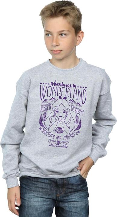 Produktbild Disney Sweatshirt Jungen Alice im Wunderland Abenteuer (140, 146)