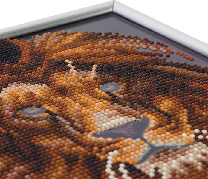 Actual product image Craft Buddy Lion, 21x25cm Picture Frame Crystal Art