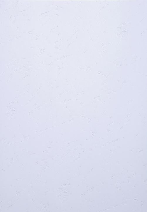 Actual product image Exacompta Cover Evercover 270 g/m², 100 pieces, White