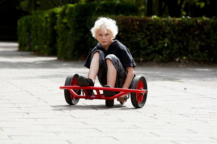 Actual product image Viking SwingCart large