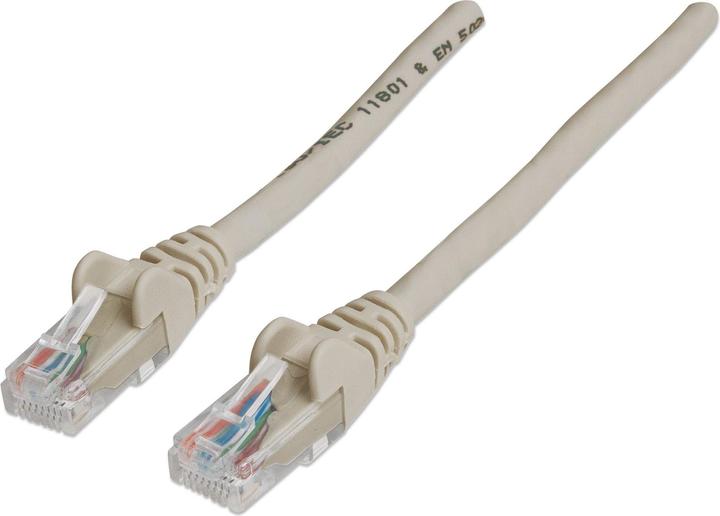 Image du produit Intellinet RJ-45, M/M (U/UTP, CAT6, 20 m)