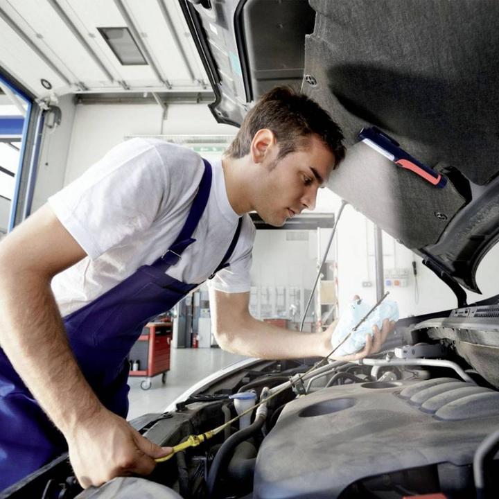 Immagine prodotto Velamp Torcia LED PROled (17 cm, 150 lm)