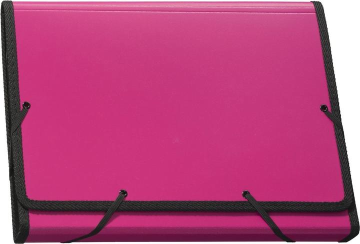 Kolma Folder A4 superstrong 12 tabs berry (A4, 1 x)