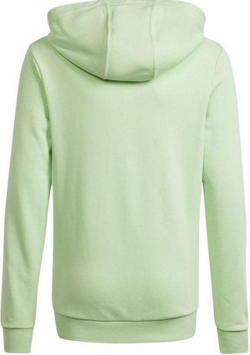 Produktbild adidas Big Logo Hoodie Jr (152)