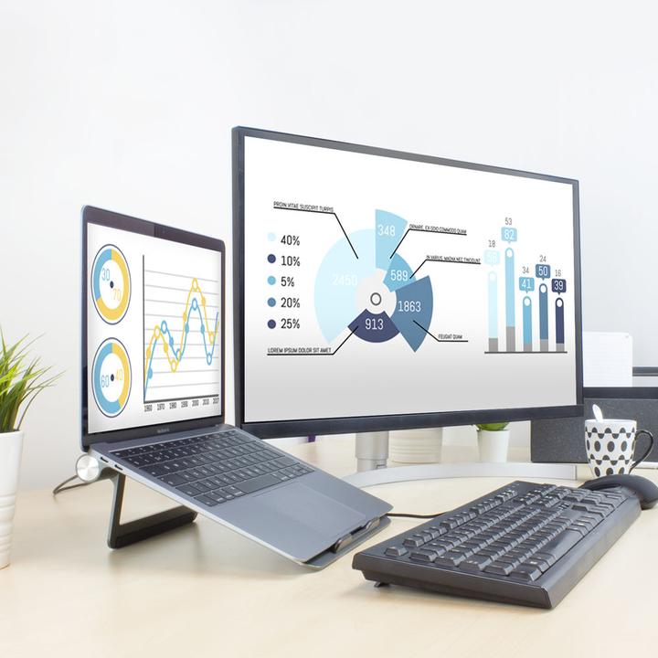 Actual product image Laptop stand with detachable docking station