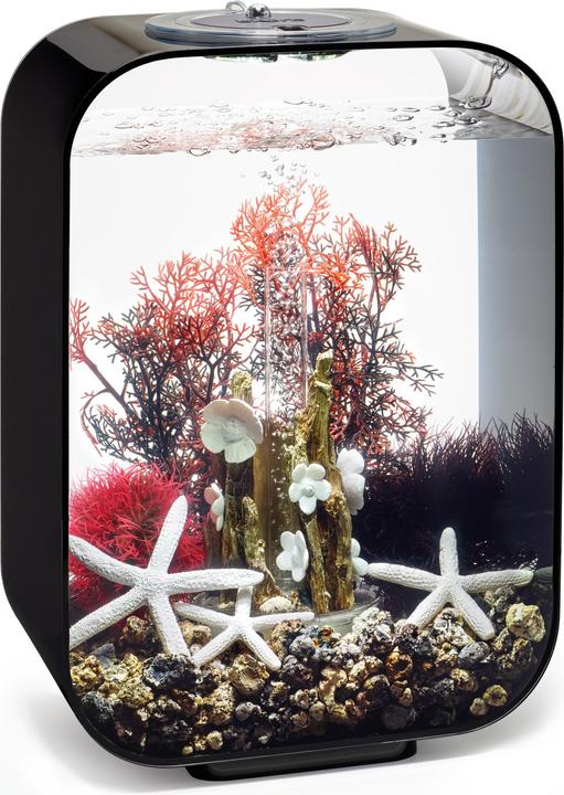 Productafbeelding Oase biOrb Aquarium 15 Decoratieset (Decoratie, Andere objecten)