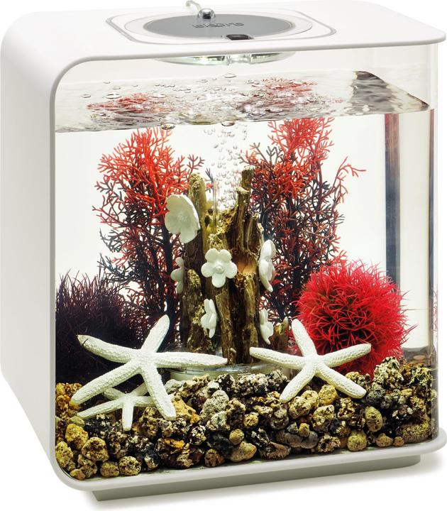 Productafbeelding Oase biOrb Aquarium 15 Decoratieset (Decoratie, Andere objecten)