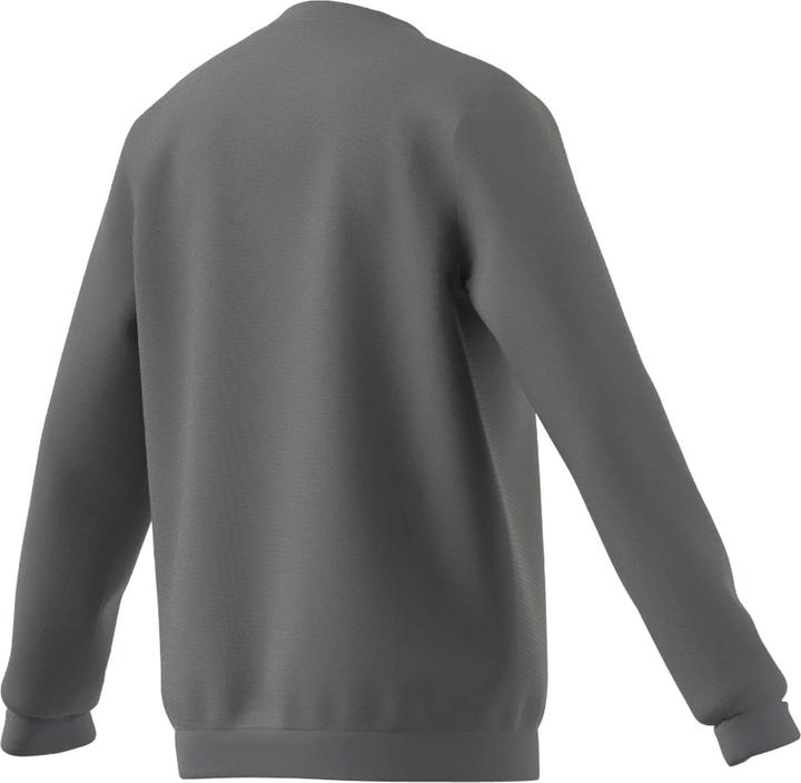 Produktbild adidas Entrada 22 Sweatshirt Kinder (176)