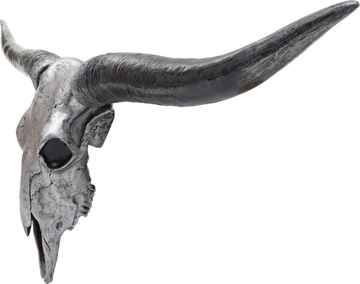 Immagine prodotto Swisshandel24 Teschio di toro