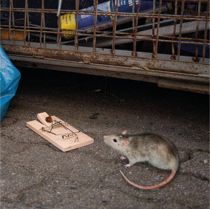 Productafbeelding Gardigo Rattenfalle 1 St.