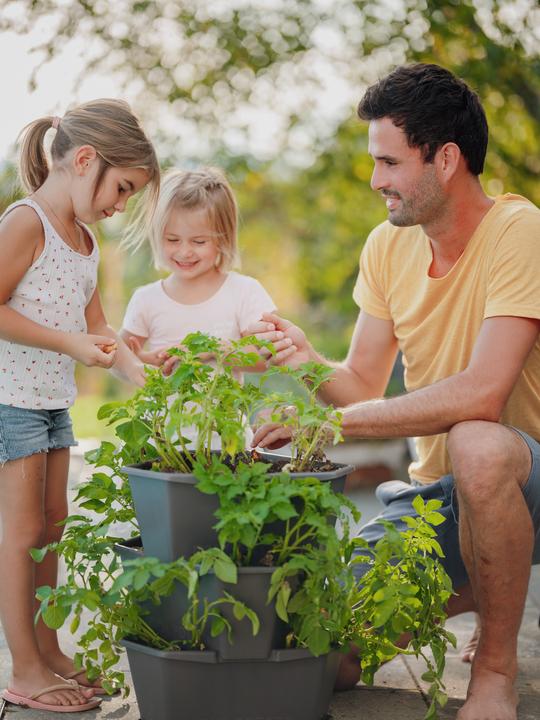 Produktbild Paul Potato 3 Etagen