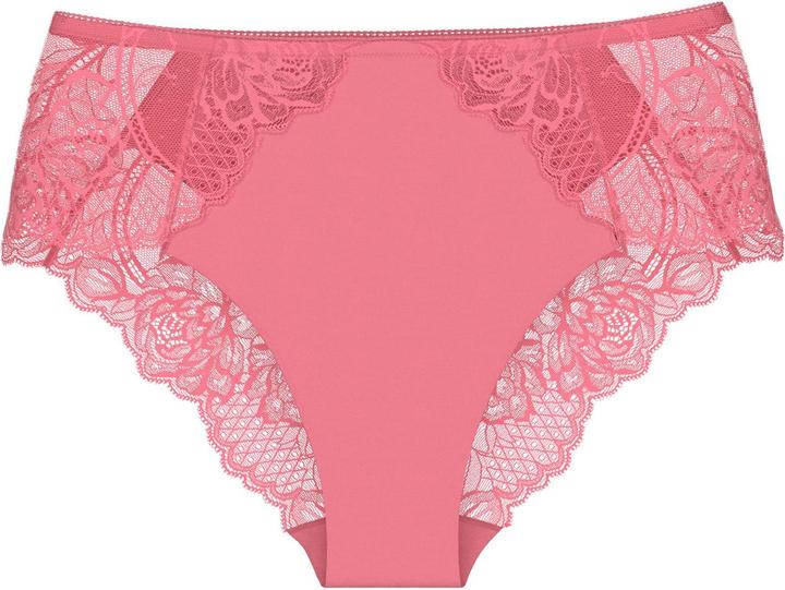Wild Rose