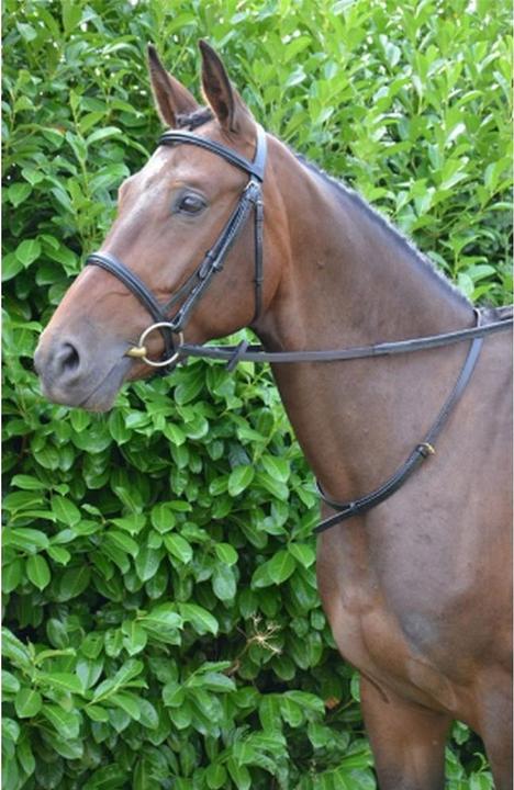 Produktbild Hy Halsriemen Leder