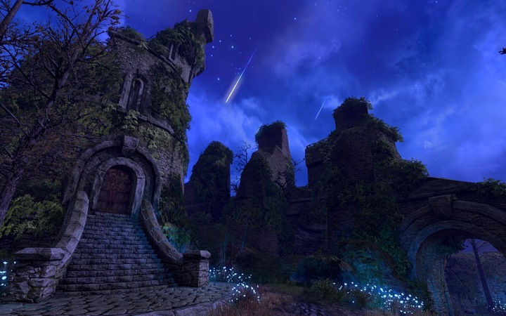 Actual product image Bethesda The Elder Scrolls Online - Tamriel Unlimited (PS4)