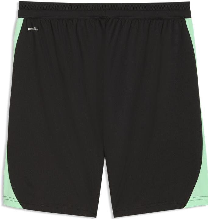 Actual product image Puma SFV Training Shorts w/ pockets (M)