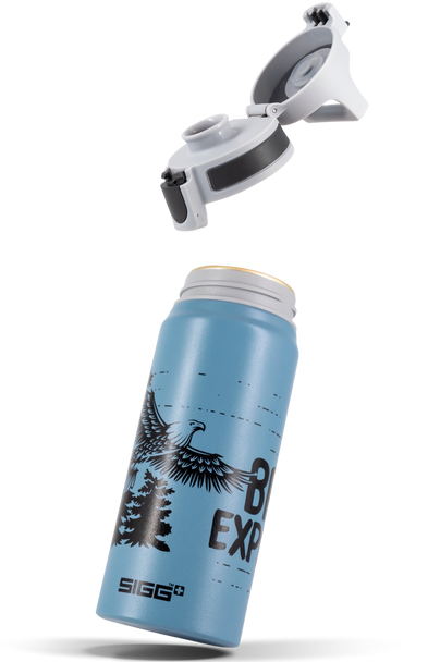 Actual product image Sigg WMB One (0.60 l)